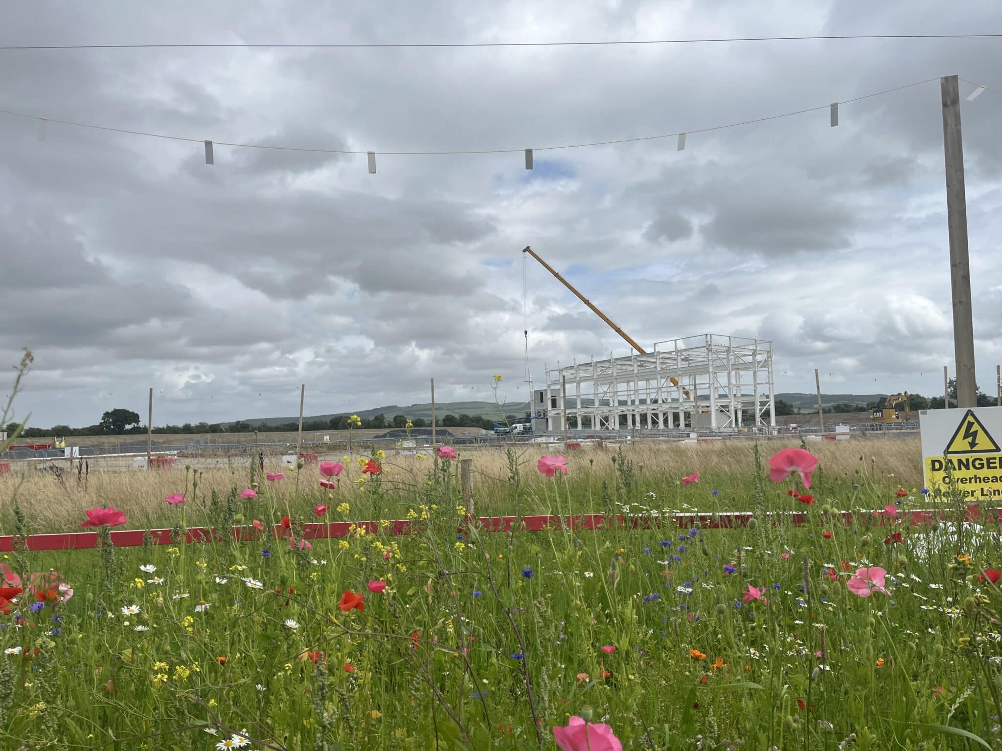 World Environment Day 2025